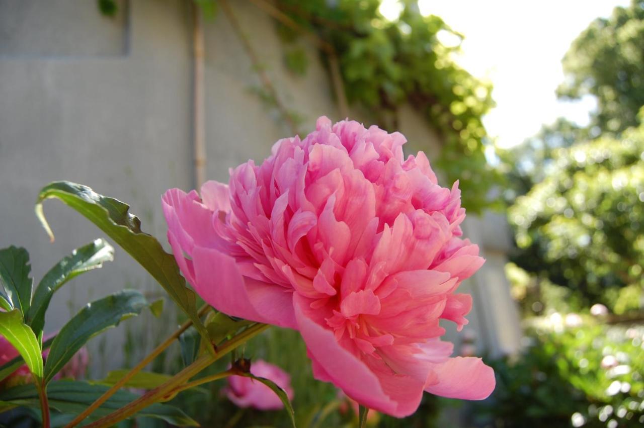 A L'Oree Du Parc Bed & Breakfast Besancon Ngoại thất bức ảnh